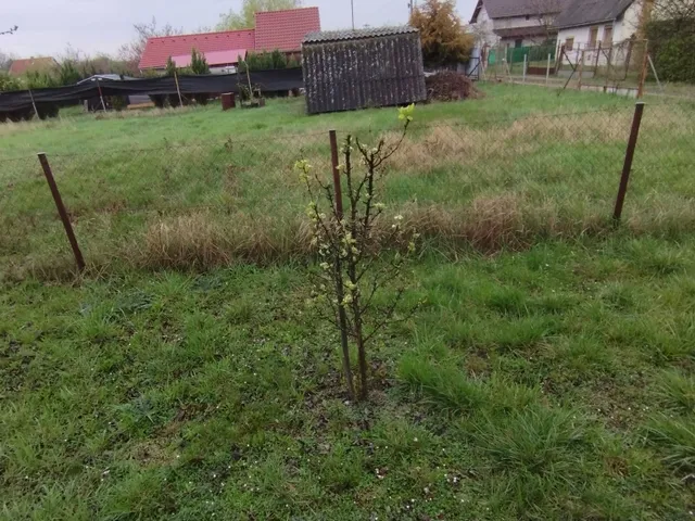 Eladó telek Szeged, Baktó 811 nm