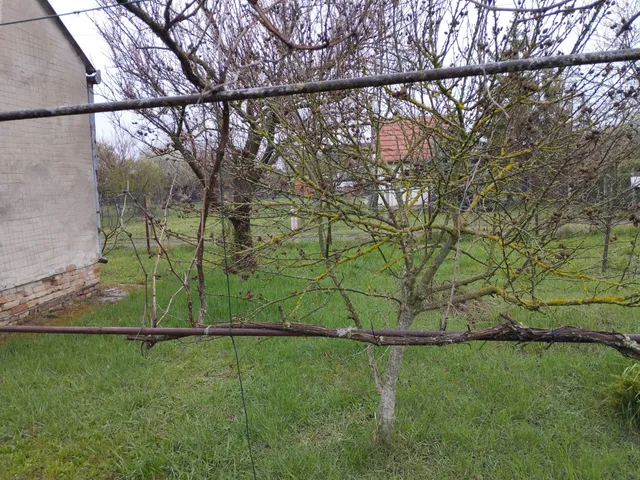 Eladó telek Szeged, Baktó 811 nm