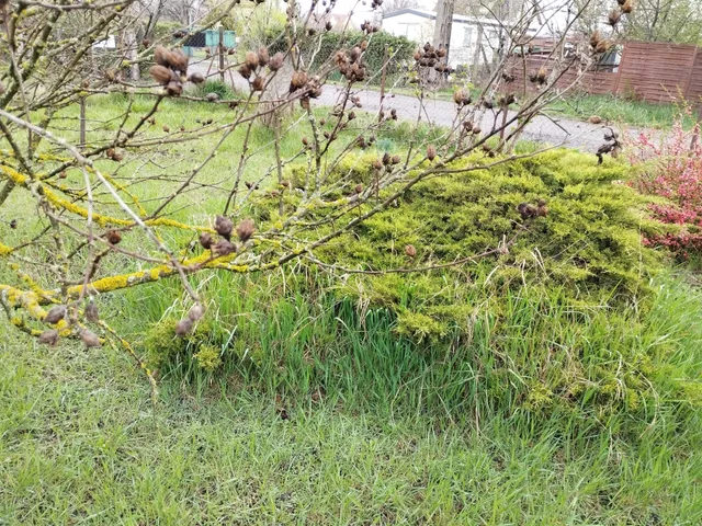 Eladó telek Szeged, Baktó 811 nm