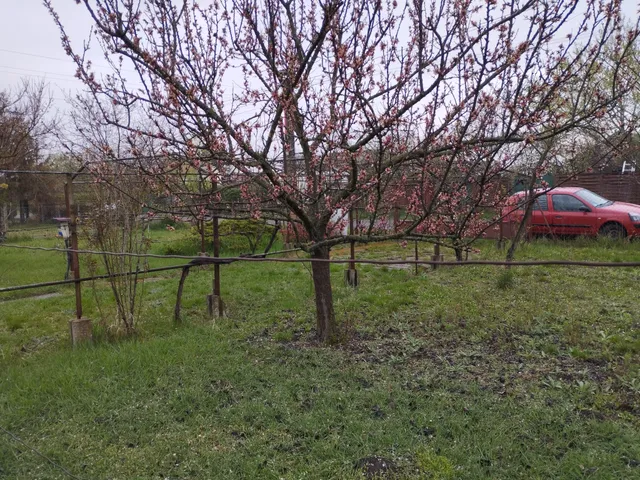 Eladó telek Szeged, Baktó 811 nm