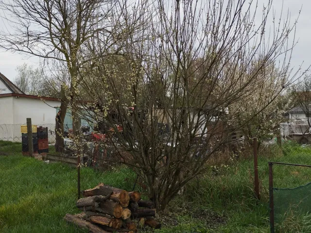 Eladó telek Szeged, Baktó 811 nm