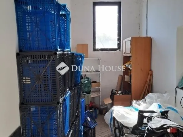 Eladó kereskedelmi és ipari ingatlan Mindszent 3100 nm