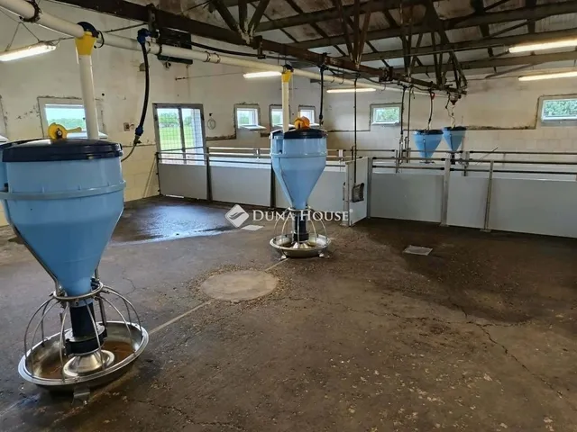 Eladó mezőgazdasági ingatlan Orosháza 170 nm