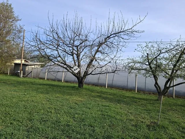 Eladó ház Szentes 28 nm