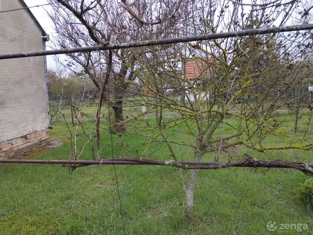 Eladó telek Szeged, Baktó 811 nm