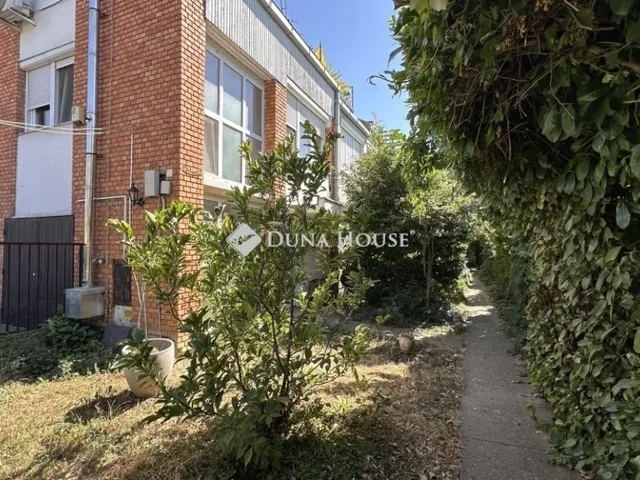 Eladó lakás Szeged, Újszeged 151 nm