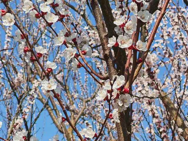 Eladó ház Biatorbágy, Iharos 15 nm