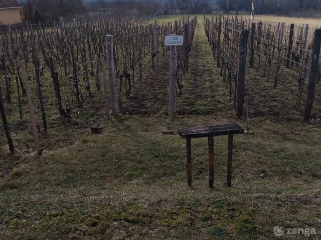 Eladó mezőgazdasági ingatlan Szőc 1450 nm