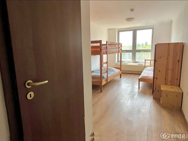 Kiadó lakás Budapest VIII. kerület, Századosnegyed, Asztalos Sándor út 9-13 20 nm