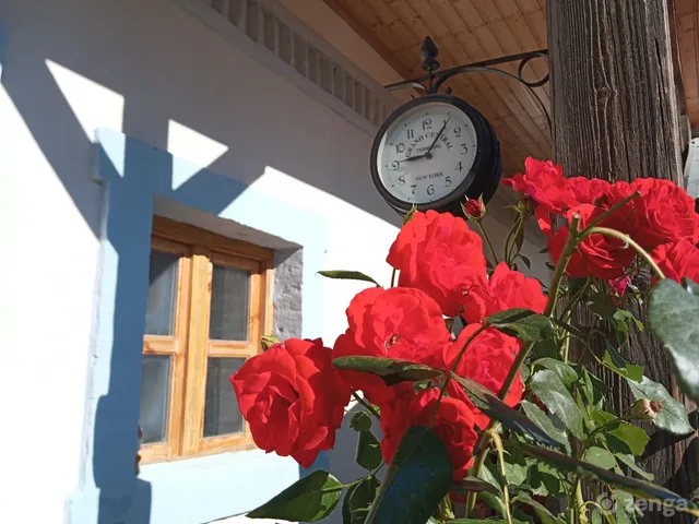 Eladó ház Szakadát 270 nm