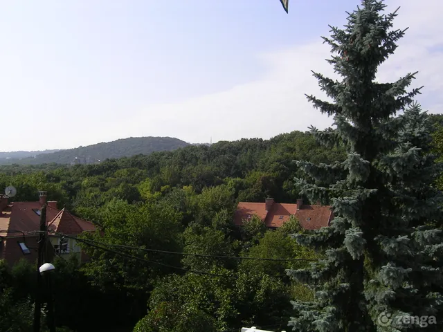 Eladó ház Budapest II. kerület, Kurucles 171 nm