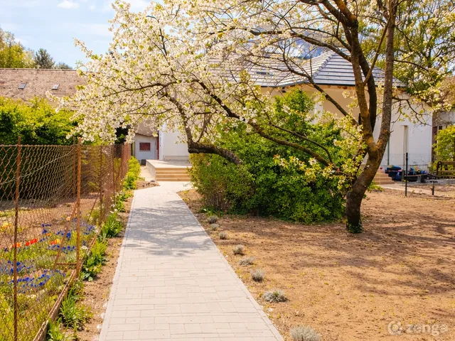 Kiadó ház Budapest II. kerület, Széphalom 150 nm