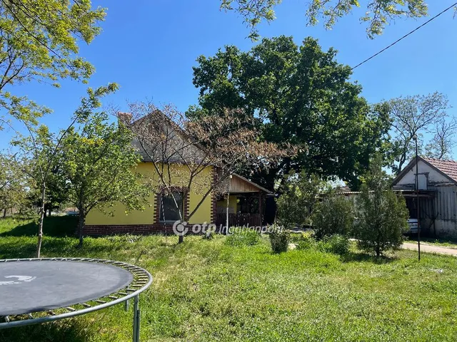 Eladó mezőgazdasági ingatlan Hódmezővásárhely 162 nm