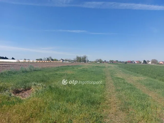 Eladó telek Bordány 5627 nm