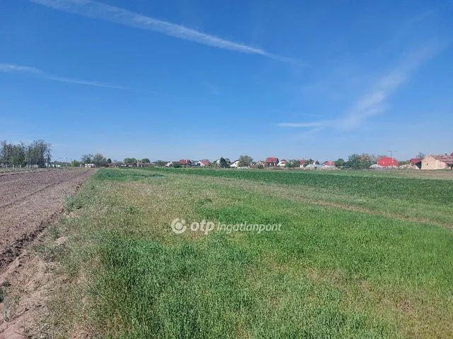 Eladó telek Bordány 5627 nm