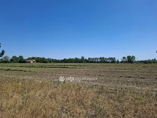 Eladó mezőgazdasági ingatlan Szatymaz 135500 nm