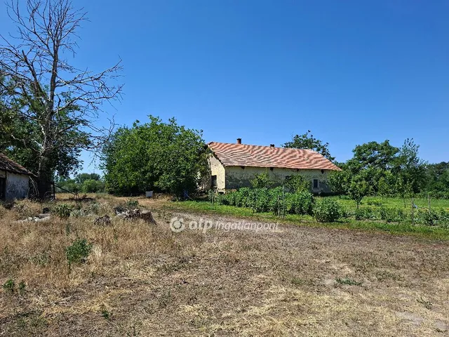 Eladó mezőgazdasági ingatlan Szatymaz 135500 nm