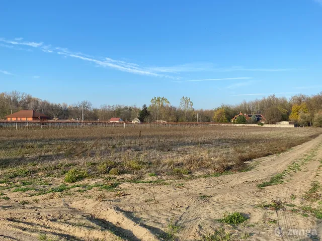 Eladó telek Kiskőrös 8368 nm