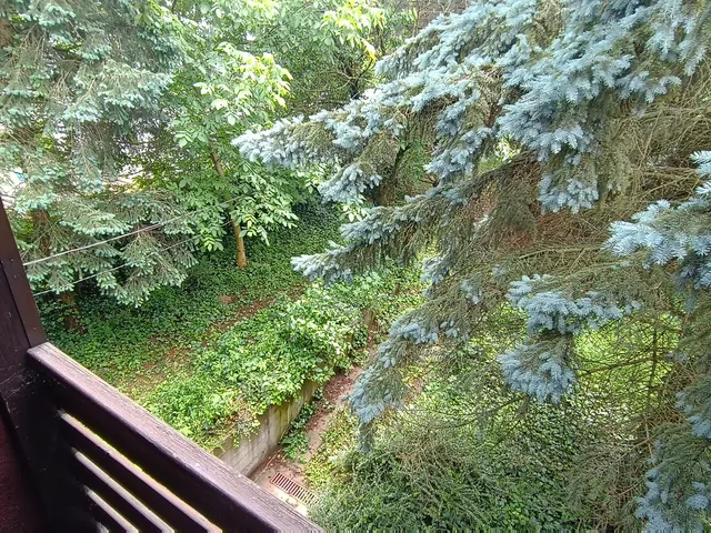 Eladó telek Remeteszőlős, Nagykovácsi út 744 nm