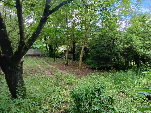 Eladó telek Remeteszőlős 744 nm