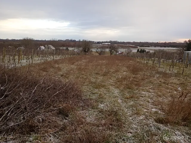 Eladó telek Gencsapáti 3076 nm