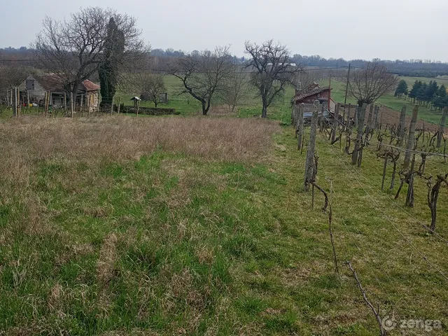 Eladó telek Gencsapáti 3076 nm