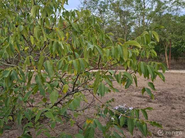 Eladó telek Inárcs 1045 nm