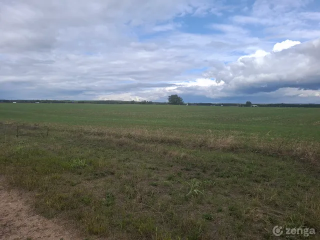 Eladó telek Üllő 39803 nm