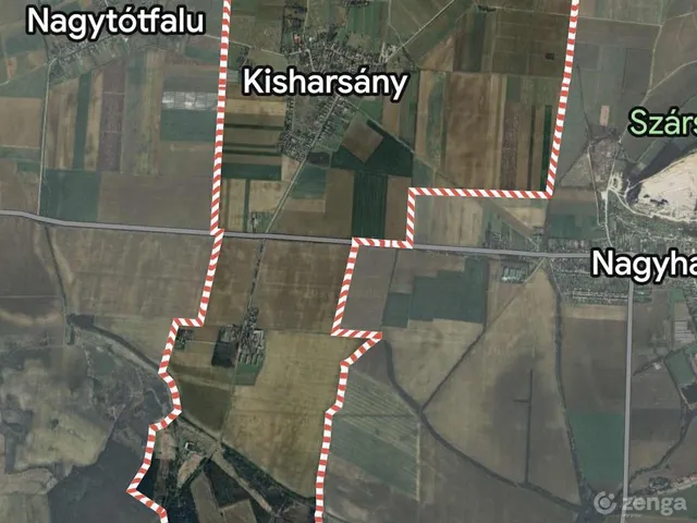 Eladó mezőgazdasági ingatlan Kisharsány 200000 nm