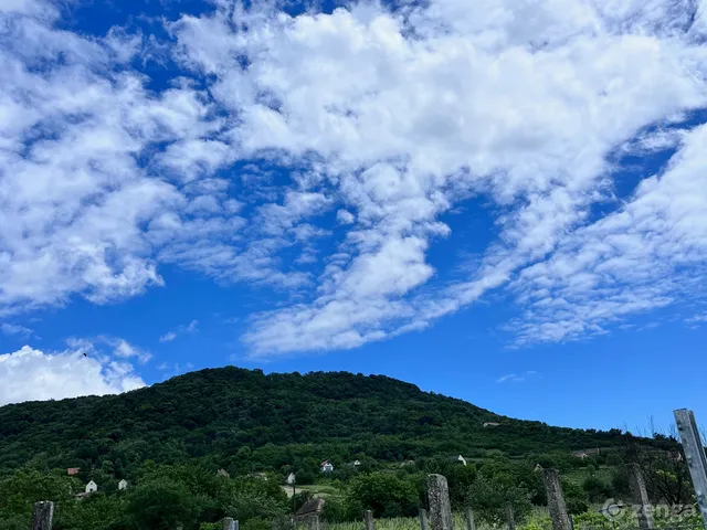 Eladó mezőgazdasági ingatlan Somlószőlős 2034 nm