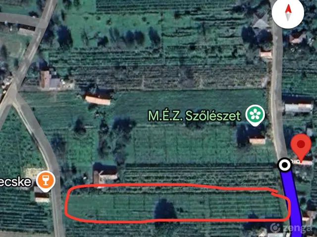 Eladó mezőgazdasági ingatlan Somlószőlős 2034 nm