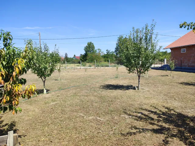 Eladó telek Szigetcsép 1159 nm