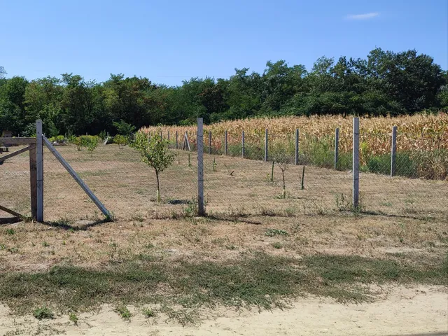 Eladó telek Szigetcsép 1159 nm