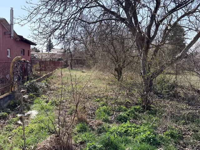 Eladó mezőgazdasági ingatlan Dunaharaszti 20 nm