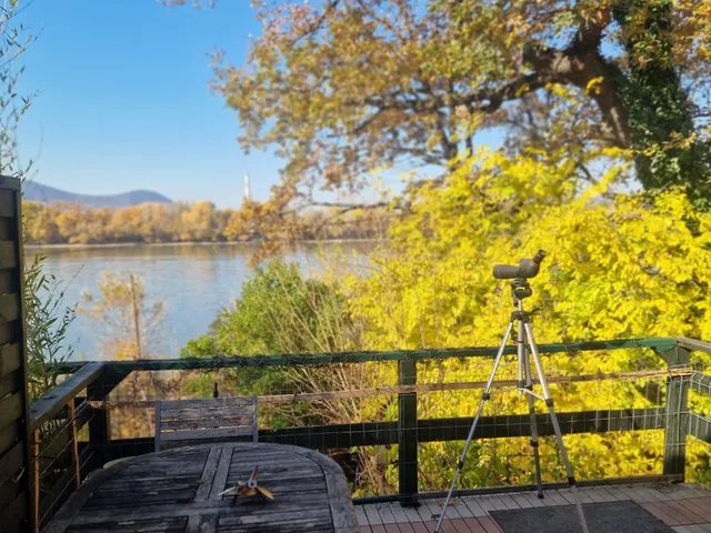 Eladó üdülő és hétvégi ház Budapest XIII. kerület 96 nm