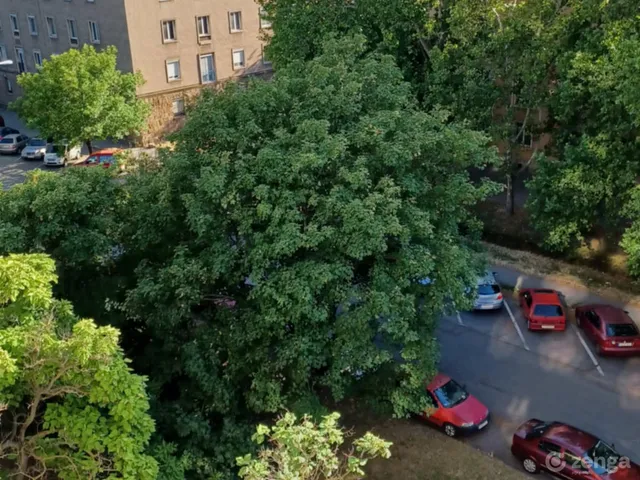 Eladó lakás Dunaújváros, Technikum városrész 34 nm