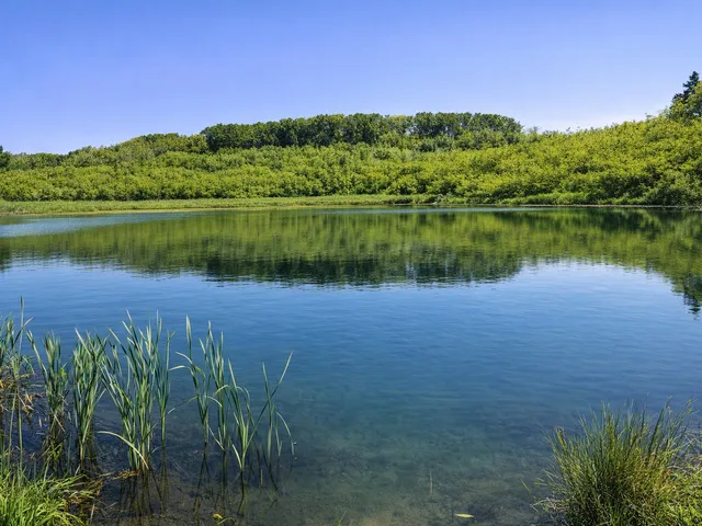 Eladó mezőgazdasági ingatlan Pécs, Istvánakna 145000 nm