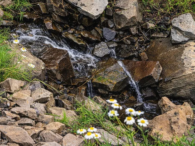 Eladó mezőgazdasági ingatlan Pécs, Istvánakna, Rücker-akna 145000 nm