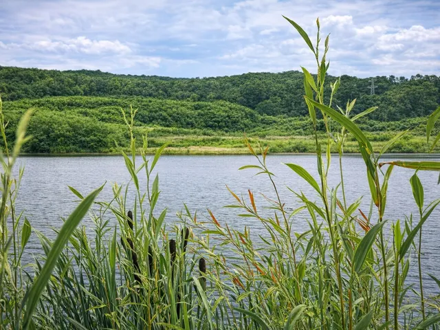 Eladó mezőgazdasági ingatlan Pécs, Istvánakna, Rücker-akna 145000 nm