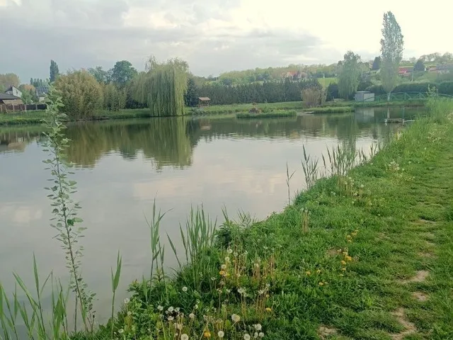 Eladó mezőgazdasági ingatlan Pécsvárad 110 nm