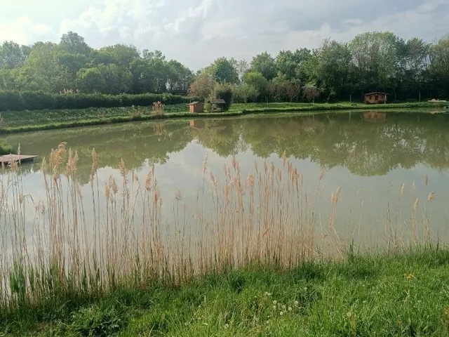 Eladó mezőgazdasági ingatlan Pécsvárad 110 nm