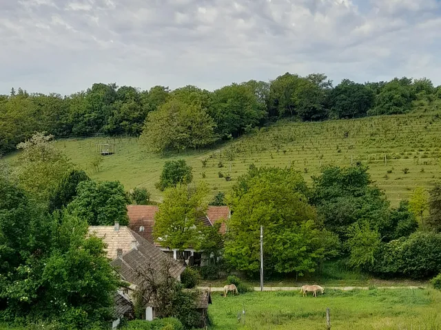 Eladó ház Kötcse 160 nm