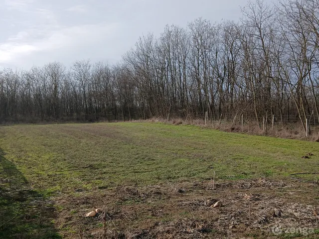 Eladó telek Dánszentmiklós 6448 nm