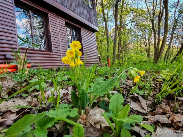 Eladó üdülő és hétvégi ház Kismaros, Börzsönyliget, Szerpentin út 52. 50 nm