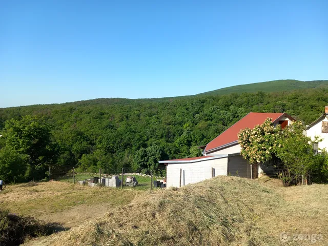 Eladó telek Pécs, Szentkút 1000 nm