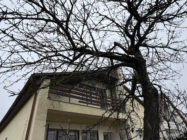 Eladó ház Tiszafüred, Tiszavég 164 nm