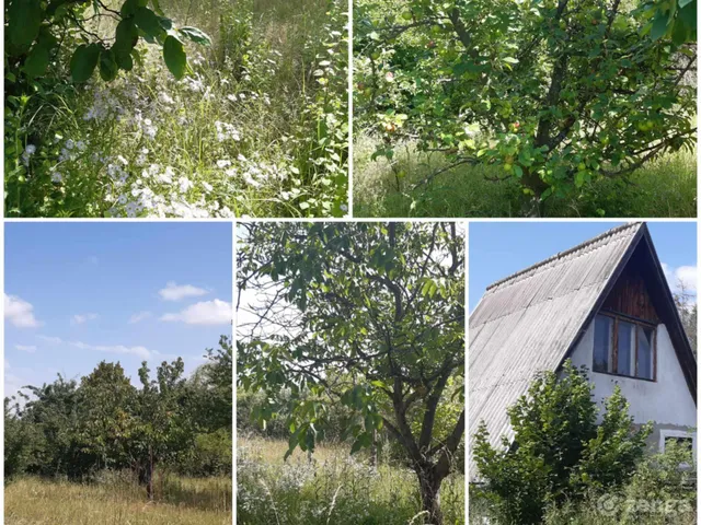 Eladó üdülő és hétvégi ház Markaz 31 nm