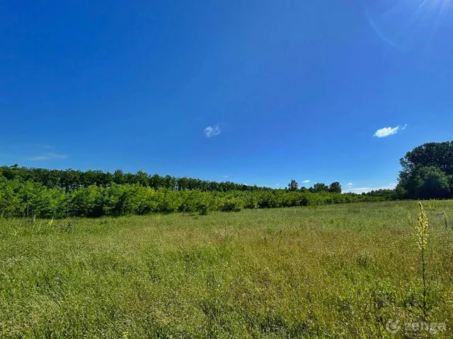 Eladó mezőgazdasági ingatlan Baja 70 nm