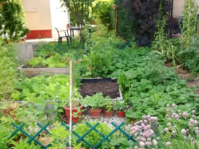 Eladó ház Budapest XVII. kerület, Rákoshegy 148 nm