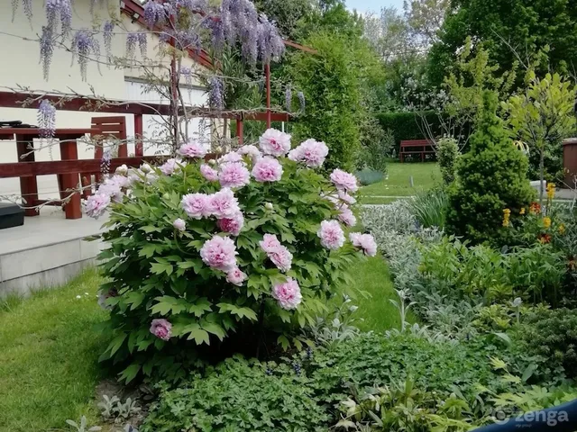 Eladó ház Gárdony, Radnóti Miklós u. 21. 188 nm